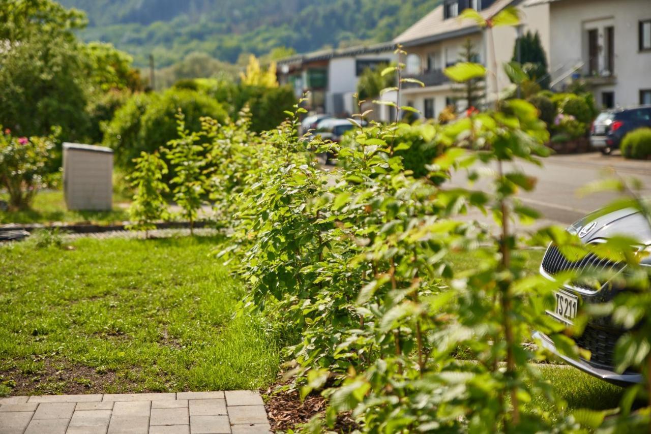 Mittelmosel Panorama Ferienwohnung Kinheim Экстерьер фото